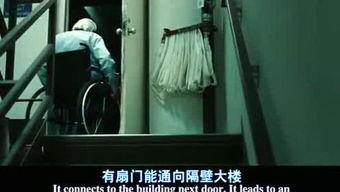 娱乐大爆料老酒馆在线观看,老酒馆在线观看，揭秘酒馆里的传奇故事